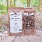 Health Embassy Burnet Saxifrage Root | Pimpinella Saxifraga L | Herbal Tea (50g)
