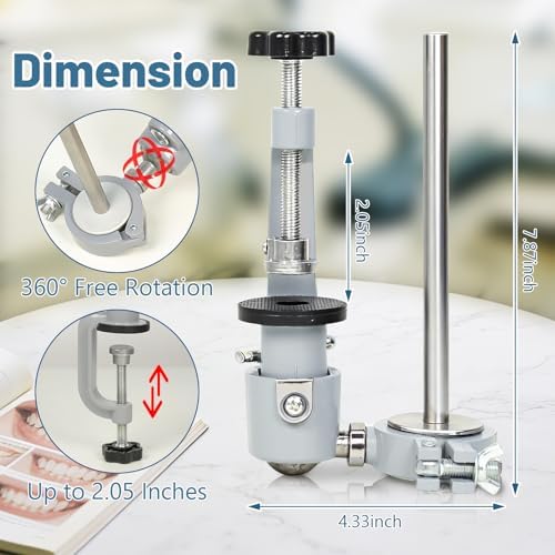 Typodont Teeth Model Training Mount, Pole Teeth Model Mount Fixed on Desk Training Manikin Dental Schools Education Practical Typodont 360° Motion
