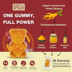Sapotax Korean Red Panax Ginseng Supplement Gummies - Iron Supplements for Women & Men - Iron Gummies with Vitamin C, B6, B12, Potassium & Magnesium, Vegan - 90 Count