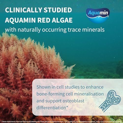 Igennus Algae Calcium & Magnesium Supplement, Plant Based, High Absorption, K2 & D3, Non-GMO Red Algae Mineral Complex for Bone & Teeth Support, for Women and Men, with Boron, Vegan, 6 x 60 Tablets