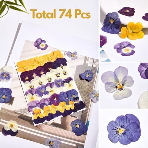 74 Pcs Edible Flowers for Cocktails Cake Decorating Drinks, Real Dried Pressed Flowers Cupcake Toppers, Food Grade Dry Flowers for Crafts Resin Mix with Pansy, Heart Rose Petals, Orange