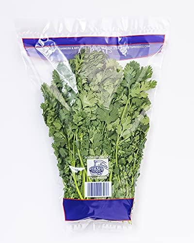 Natures Reward Cilantro, 1 EA