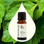 Plant Therapy Organic Patchouli Essential Oil 10 mL (1/3 oz) 100% Pure, Undiluted, Therapeutic Grade