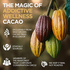 Addictive Wellness Raw Cacao Powder - Wild-Grown Heirloom Mycotoxin-Free Arriba Nacional Unsweetened Chocolate Powder, Vegan, Keto & Paleo Friendly 340g (12 Ounce)