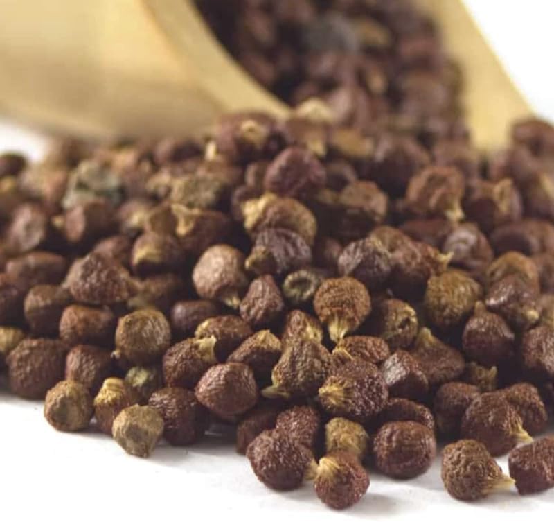 MOTHERLAND GOODS Alligator Pepper Seeds African Grains of Paradise, Guinea Pepper, Famous African Spice Mbonge Spice With Citrus Notes Hepper Pepper for Cooking, Brewing Beer (1 Oz Seeds)