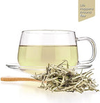 Tealyra - Premium White Silver Needle Tea - Bai Hao Yinzhen - Organically Grown in Fujian China - Superior Chinese Silver Tip White Tea - Loose Leaf Tea - Caffeine Level Low - 110g (4-ounce)
