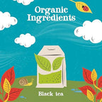 Clipper Tea, English Breakfast, Fairtrade, Organic, Plant-Based, Caffeinated British Tea, 6 Pack, 120 Unbleached Tea Bags