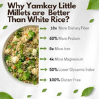Yamkay Organic Samai Rice - Premium Little Millet | Kutki | Samalu | Kurikku | Small | 100% Natural & Gluten-Free | Healthy (300 GM) 10.58 OZ