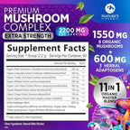 Mushroom Powder Supplement - 11-in-1 Blend - Organic Lions Mane, Reishi, Cordyceps, Chaga, Turkey Tail Mushroom Extract Powder - Brain & Immune Support Mushrooms Powder - Bottled in USA - 60 Servings