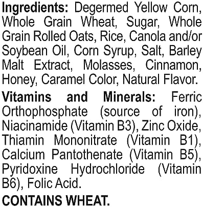 Malt-O-Meal Honey and Oat Blenders® Kids Breakfast Cereal, Family Size Bulk Bagged Cereal, 32 Ounce - 1 count
