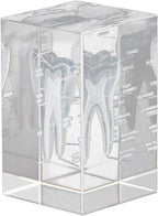 3D Crystal Human Tooth Model - Cubic Etched Anatomical Tooth Model for Home and Office Decoration Dentists Gifts