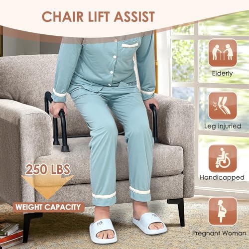 NEPPT Couch Cane Stand Lift Assist for Elderly Standing Aids Supports Assistance Couch Assist Rail Seniors Fall Prevention Devices Grab Bar Portable Chair Cane