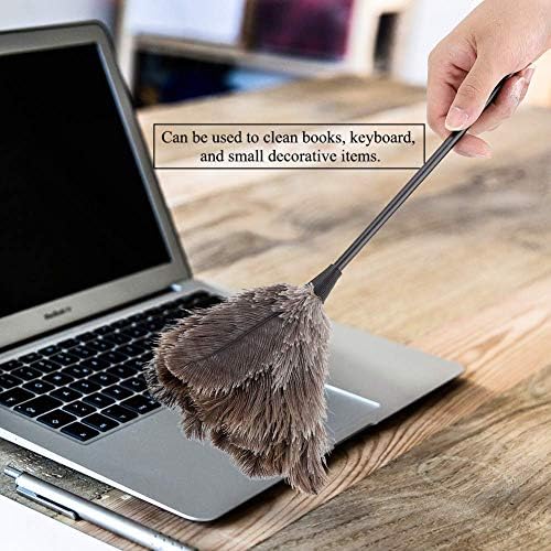 Ostrich Feather Duster, Mini Handmade Washable Reusable Ostrich Feather Duster Brush with Long Plastic Handle for Car Keyboard Office Home Furniture, 40cm/15.74inch Multicolor