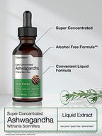 Horbäach Ashwagandha Liquid Drops | 2 Fl Oz | Tincture Root Extract | Alcohol Free Supplement for Women and Men | Withania Somnifera | Vegetarian, Non-GMO, Gluten Free