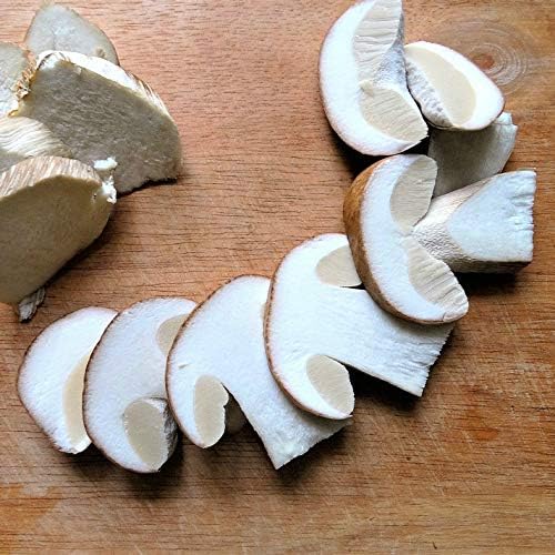 Kitchen Craft Mushroom Cleaning Brush with Rubber Wood Handle and Soft Bristles