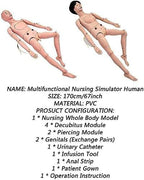 PVC Patient Care Manikin, 5.7ft Life Size CPR Simulator, Geriatric Human Wound Mannequin, with Interchangeable Genitals, for Medical Training Skills