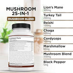 Liberty Lifestyle Lions Mane Mushroom Supplement with Turkey Tail Reishi Cordyceps Chaga with Marshmallow Root - 3-Pack