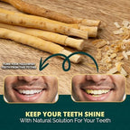 Pack of 12 Miswak Sticks for Teeth with Holder - Natural Toothbrush for Teeth Whitening, Oral Health & Fresh Breath - Vacuum Sealed Natural Flavored Chew Sticks for Humans || Pack of 12