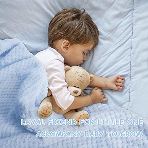 iAOVUEBY Baby Shower Gifts, Baby Boy Gift Basket Set Newborn Blanket Elephant Lovey Baby Security Blanket Wooden Rattle Toy, Funny Bibs Socks & Greeting Card, New Boys Baby Gift Essentials