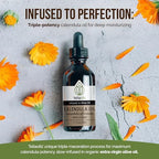 Calendula (Marigold/Calendula Officinalis) Infused Oil Extract (Macerated Oil), 1.7 Fl Oz - 50 Ml a Powerful Skin oil- Gentle and Soothing for the Skin