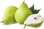 OliveNation Pear Extract from Natural Flavors, TTB-Approved Flavoring for Brewing, Baking, Beverages, Sugar Free, Non-GMO, Kosher, Vegan - 4 oz