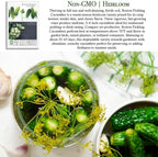 Boston Pickling Cucumber Seeds (Cucumis sativus)– 100+ Non-GMO Heirloom Seeds by Isla’s Garden Seeds, Ideal for Crisp Pickles, Fast-Growing, Great for Beds, Containers, Raised Gardens, Small Gift Idea