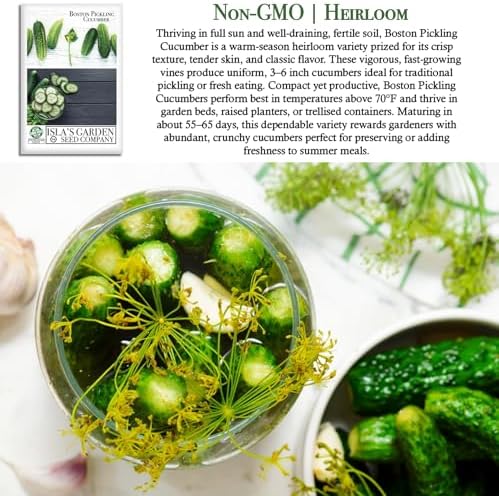 Boston Pickling Cucumber Seeds (Cucumis sativus)– 100+ Non-GMO Heirloom Seeds by Isla’s Garden Seeds, Ideal for Crisp Pickles, Fast-Growing, Great for Beds, Containers, Raised Gardens, Small Gift Idea