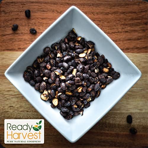 Ready Harvest Emergency Food - Quick-Cook Black Beans | Pre-cooked Beans, Just add hot Water | #10 Can | 25-Year Shelf Life | 3 lbs | Cans Filled to the Top