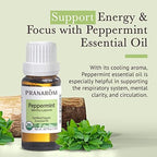 Pranarom USDA Certified Organic Peppermint Essential Oil (15ml), 100% Pure Undiluted Therapeutic Grade from India for Aromatherapy, Diffuser, Topical, Cooling, Massage & Relaxation