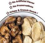 VIGOROUS MOUNTAINS Mushroom Chips Veggie Snacks, Dried Shiitake and King Oyster Good Salted Crisp Mix, Grocery Vegetable Snack Chip 8.82 Oz, 250 g