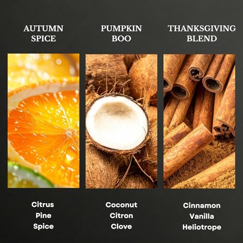 Scentia Pumpkin Vanilla Bakery Aromatherapy Diffuser Oil Collection – Essential Oil Blend for Candles, Home & DIY Cozy Scents 3x20ml Discovery Set