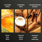Scentia Pumpkin Vanilla Bakery Aromatherapy Diffuser Oil Collection – Essential Oil Blend for Candles, Home & DIY Cozy Scents 3x20ml Discovery Set