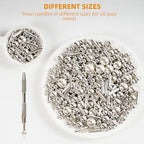 Kasvan silver Mix Sugar Sprinkles - Edible Candy Pearls with 4-Claw Sprinkle Pen,118g/4.16 Oz, Gift Box Pack, Baking Cake Decorations, Ice Cream Toppings and Cookie Decorating, Wedding Party Chirstmas Supplies