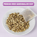 Jarteela - Marshmallow Root Tea Bags - 2g x 36 Count - Premium Dried Althaea Officinalis - Non-GMO - Caffeine-free - Natural Herbal Tea for Digestive & Respiratory Support