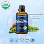 Organic Cedarwood Essential Oil 30 ml - Pure, Natural Oils for Aromatherapy, Diffusers, DIY, Candle and Soap Making Scent - Nexon Botanics