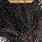 Aldwin Ostrich Feather Duster, 16 inch Black Genuine Ostrich Feathers with Wood Handle, Reusable Car Dusters, Eco-Friendly Cleaning Handheld Dusters for Home, Office and Kitchen