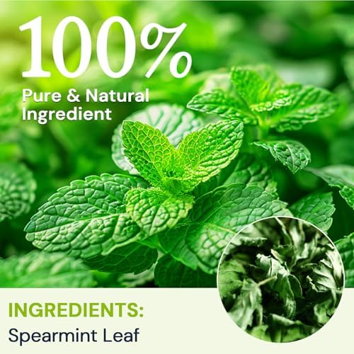 Spearmint Leaf Herbal Tea - Caffeine Free, 40 Tea Bags