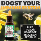 Brazil Green Bee Propolis Liquid Extract No Alcohol 30ML 1 Pack