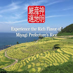 Shinmei Sanchi Gensen HITOMEBORE, Japanese Short Grain White Rice, 100% Grown in Miyagi, Japan for SUSHI, RICE BALL, RICE BOWL (11 lb.)