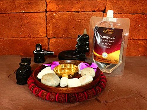 Yogic Mantra Gangajal Holy Water | 200 ml Pouch | Pure Natural Unfiltered Ganga Jal for Pooja | Himalayan Mountain Water Sourced at Brahma Kund, Har Ki Pauri, Haridwar | Sacred Gangajal for Puja