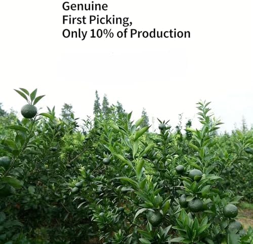 NASLAPH Tangerine Peel Puerh Tea, Xiao Qing Gan Pu-erh Tea, Xinhui ChenPi Pu'er Citrus Yunnan Puerh Green Orange Peel with Smooth & Fragrant 小青柑 新会陈皮普洱茶 普洱茶 5.29Oz/150g