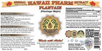Hawaii Pharm Plantain Liquid Extract, Plantain (Plantago Major) Tincture, Herbal Supplement, Made in USA, 4 fl.oz