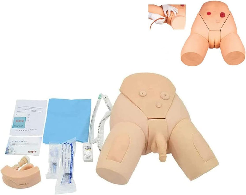 ZAIED Male and Female Manikin PVC Urinary Catheterization Model Nursing Practice Simulator Interchangeable Mannequin for Nursing Medical Training