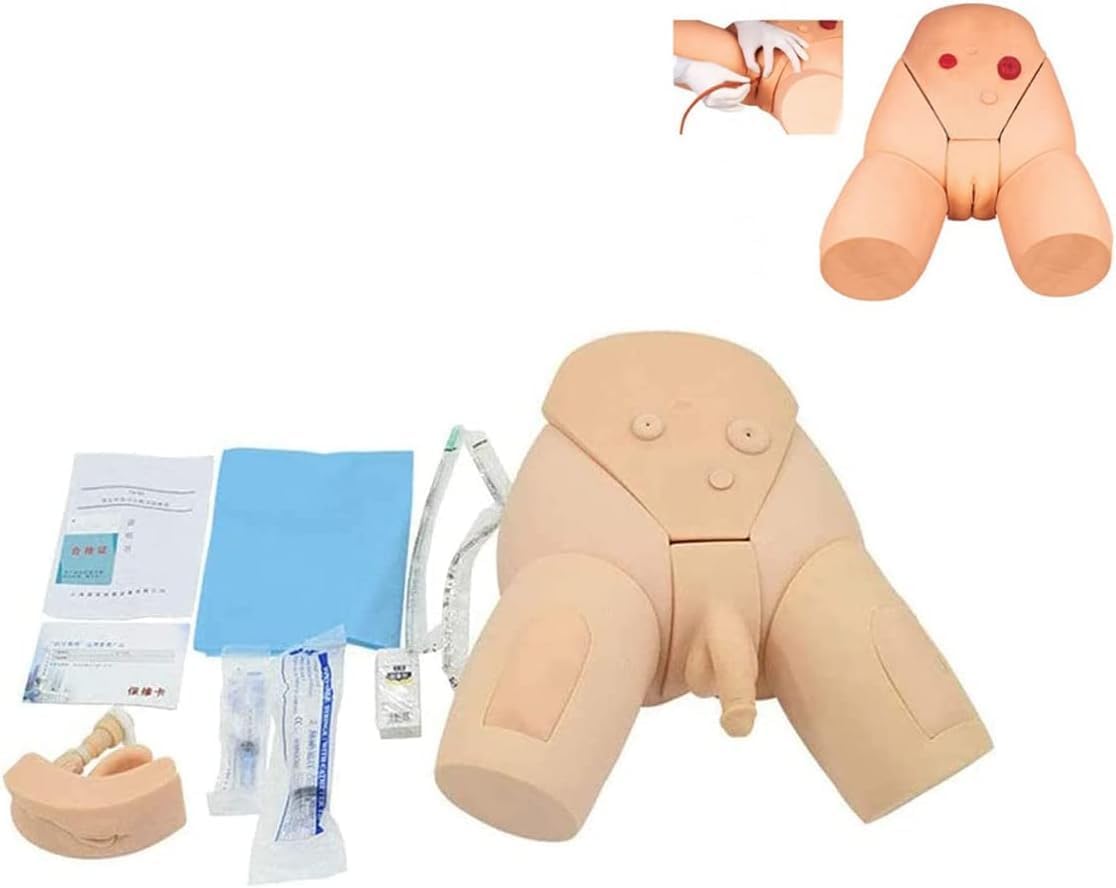 ZAIED Male and Female Manikin PVC Urinary Catheterization Model Nursing Practice Simulator Interchangeable Mannequin for Nursing Medical Training