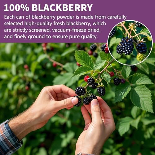 Black-berry Powder, Freeze Dried Blackberries Powder, Frozen Blackberries Powde r, 6.52OZ/185G No Sugar or Added, For Baking, Dressing, Smoothies, Beverages, Cereals, Yogurt