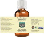 Pure Eucalyptus Essential Oil (Eucalyptus globulus) Steam Distilled (Pack of Three) 100ml X 3 (10 oz)