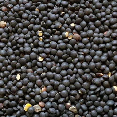 Hunza Organic Black Beluga Lentils (2-lbs)