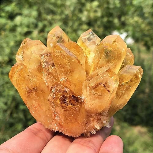 Citrine Quartz Cluster Reiki Healing Irregular Shape & Size Natural Crystal Point Mineral Crystal Specimen Home Decor (200~300g)