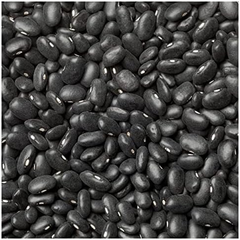 Everwilde Farms - 100 Black Turtle Dry Bean Seeds - Gold Vault Jumbo Seed Packet