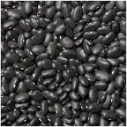 Everwilde Farms - 100 Black Turtle Dry Bean Seeds - Gold Vault Jumbo Seed Packet